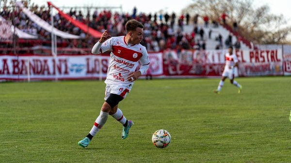 Fachkundige Ratschläge für die Auswahl eines stilvollen und strapazierfähigen Bodens in einem haustierfreundlichen Zuhause